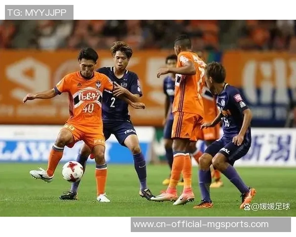 京都不死鸟与砺木SC激战8月10日期待精彩对决与巅峰时刻